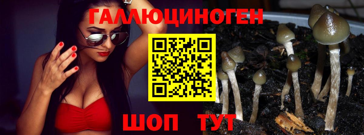 Гашиш  Бошки Шишки  Героин  Как найти закладки?  Елец  АМФ кристаллы  Меф   Вход с VPN  КОКАИН  Метамфетамин  Alpha PVP СОЛЬ кристаллы  Гашиш 